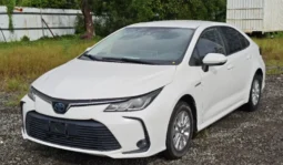 2019 Toyota Corolla full
