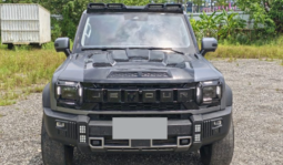 2024 traveler 4wd full