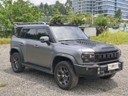 2024 traveler 4wd
